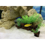 Искусственное растение на коряге для аквариума 2126122-15х10 см
