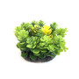 Штучна рослина для акваріума Aquatic Plants 10х10х8 (см) зелена