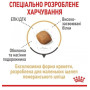 Сухий корм Royal Canin Pomeranian Adult для дорослих собак породи померанський шпіц 500 (г)