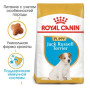 Сухий корм Royal Canin Jack Russel Puppy для цуценят породи джек-рассел-тер'єр, 1,5 кг