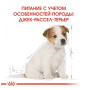 Сухий корм Royal Canin Jack Russel Puppy для цуценят породи джек-рассел-тер'єр, 1,5 кг