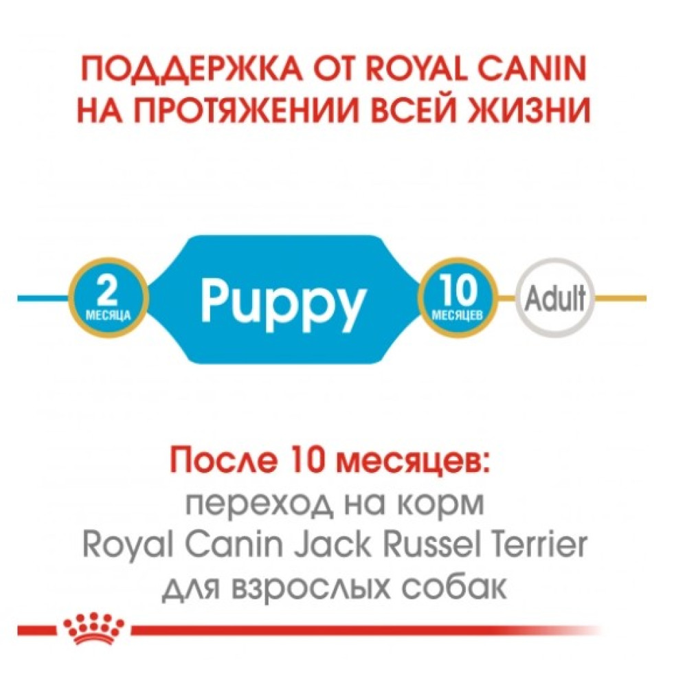 Сухой корм Royal Canin Jack Russel Puppy для щенков породи джек-рассел-терьер, 1,5 кг