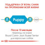 Сухий корм Royal Canin Jack Russel Puppy для цуценят породи джек-рассел-тер'єр, 1,5 кг