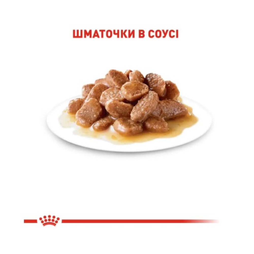 Влажный корм для пожилых кошек Royal Canin Ageing 12+ в соусе 12 шт х 85 г