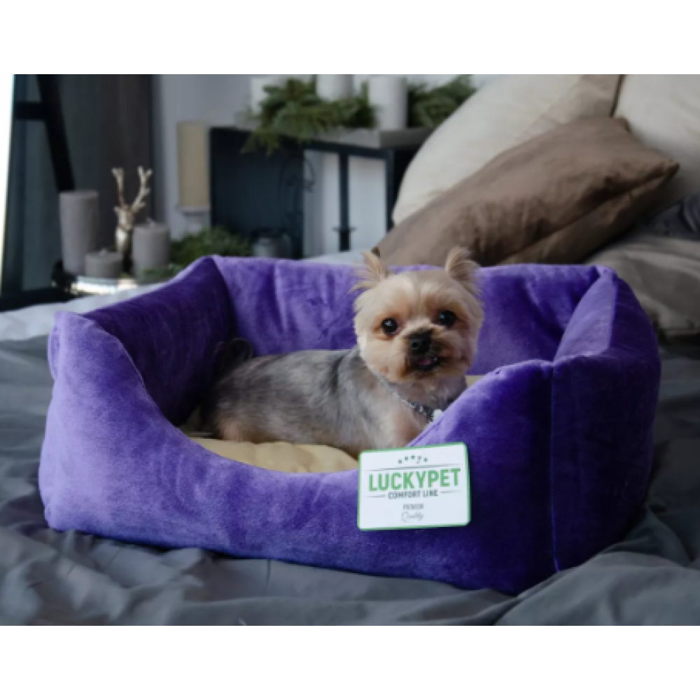 Лежак Рольф №1 "Luсky Pet", фиолетово-кремовый, 40х50х22см