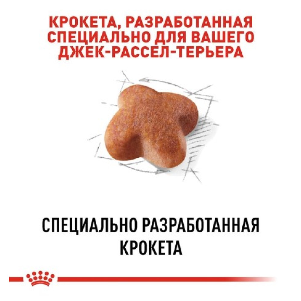 Сухой корм Royal Canin Jack Russell Terrier Adult для собак породы джек-рассел-терьер 1.5 (кг)