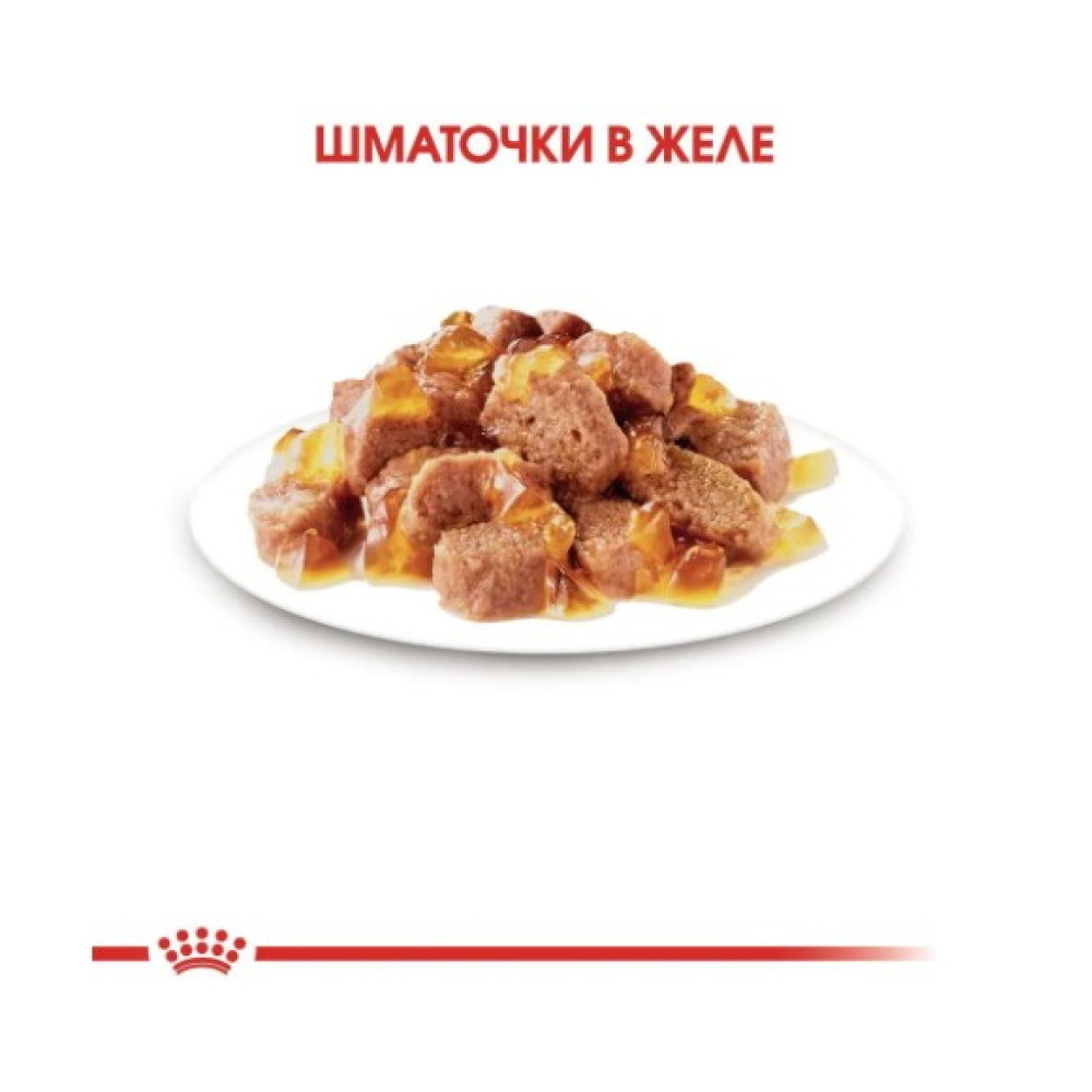 Влажный корм для стерилизованных кошек Royal Canin Sterilised в желе 12 шт х 85 г