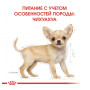 Сухой корм Royal Canin Chihuahua Puppy для щенков породы чихуахуа от 2 до 8 месяцев 1.5 (кг)