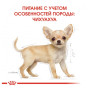 Сухой корм Royal Canin Chihuahua Puppy для щенков породы чихуахуа от 2 до 8 месяцев 500 (г)