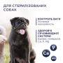 Сухий корм для стерилізованих собак малих порід Club 4 Paws Premium 5 кг (індичка)