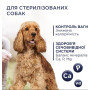 Сухой корм для стерилизованных собак средних и больших пород Club 4 Paws Premium 5 кг (индейка)