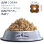 Сухой корм для стерилизованных собак средних и больших пород Club 4 Paws Premium 5 кг (индейка)