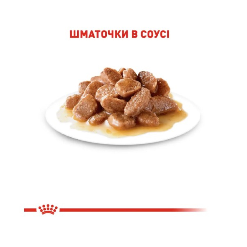 Влажный корм для кошек Royal Canin Intense Beauty/Hair and Skin in Jelly  12х85г