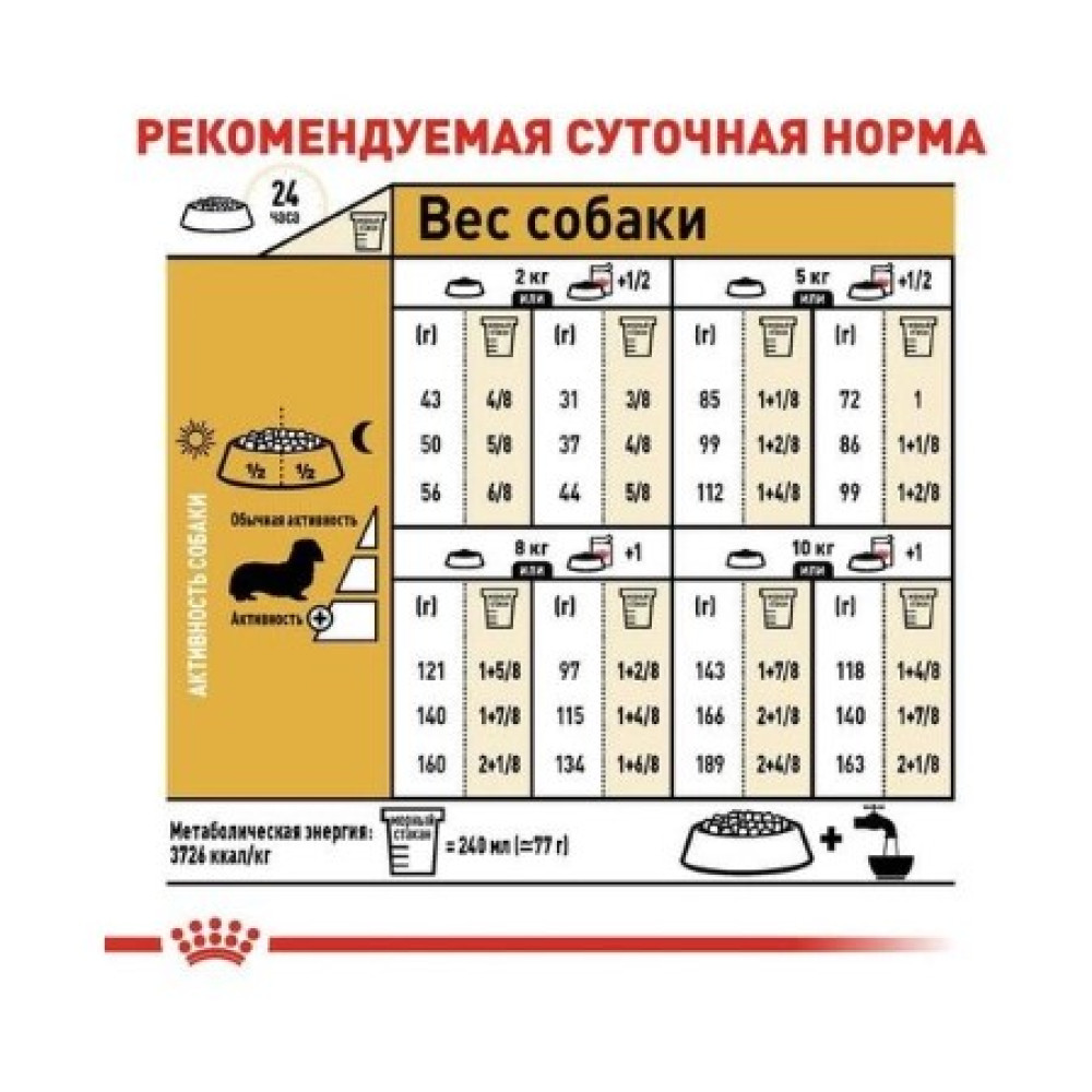 Dachshund 2025 royal canin