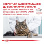 Сухой корм для кошек Royal Canin Hypoallergenic Feline при пищевой аллергии 400 (г)