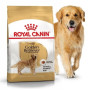 Сухий корм Royal Canin Golden Retriever Adult для собак породи золотистий ретрівер від 15 міс., 12 кг