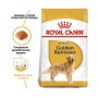 Сухий корм Royal Canin Golden Retriever Adult для собак породи золотистий ретрівер від 15 міс., 12 кг