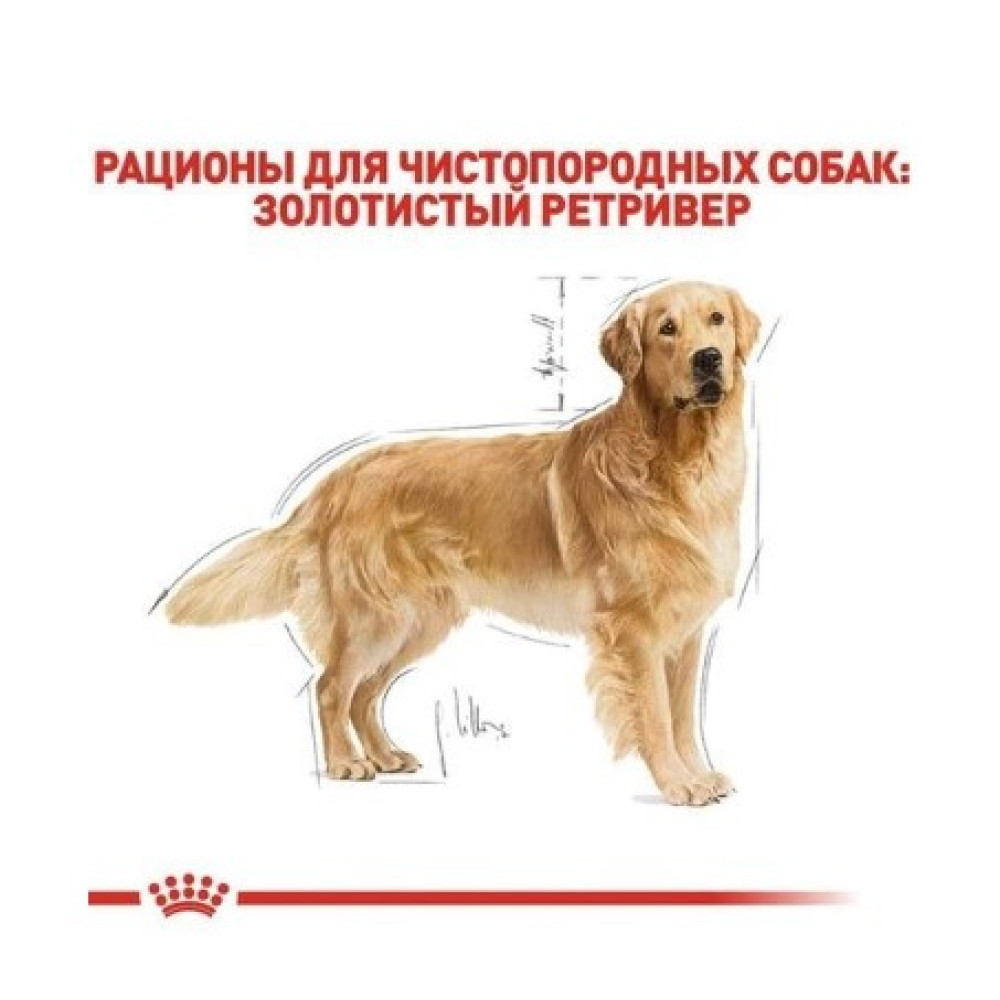Сухой корм Royal Canin Golden Retriever Adult для собак породы золотистый ретривер от 15 мес., 12 кг