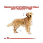 Сухой корм Royal Canin Golden Retriever Adult для собак породы золотистый ретривер от 15 мес., 12 кг