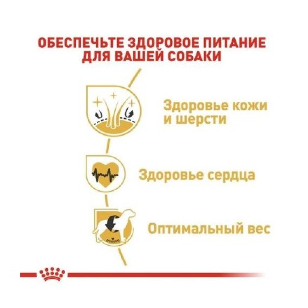 Сухой корм Royal Canin Golden Retriever Adult для собак породы золотистый ретривер от 15 мес., 12 кг