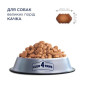 Сухой корм для взрослых собак крупных пород Club 4 Paws Premium 14 кг (утка)