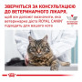 Сухий корм для кішок Royal Canin Sensitivity Control Feline при харчовій алергії 400 (г)