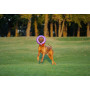 Іграшка - тренувальний снаряд для собак PULLER MAXI (Пуллер максі) d=30 см, 1 шт.