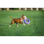 Іграшка - тренувальний снаряд для собак PULLER MAXI (Пуллер максі) d=30 см, 1 шт.
