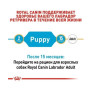 Сухой корм Royal Canin Labrador Retriever Puppy для щенков породы лабрадор ретривер до 15 мес. 12 (кг)