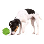 Игрушка для собак Trixie Мяч-кормушка для собак Trixie Dog Activity 9 см (резина) 