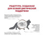 Сухой корм для кошек Royal Canin Gastrointestinal Fibre Response Feline при заболеваниях желудочно-кишечного тракта 400 (г)