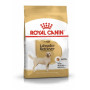 Сухой корм Royal Canin Labrador Retriever Adult для собак породы лабрадор ретривер от 15 мес., 12 кг
