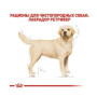 Сухий корм Royal Canin Labrador Retriever Adult для собак породи лабрадор ретрівер від 15 міс., 12 кг