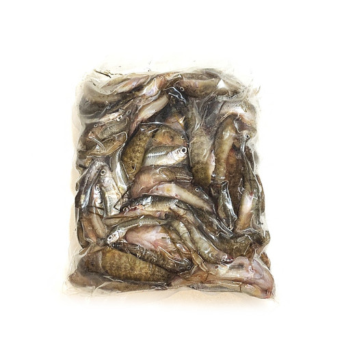 Рыба свежемороженая морская для кормления креветки Розенберга  