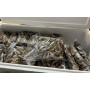 Рыба свежемороженая морская для кормления креветки Розенберга   100 (кг)