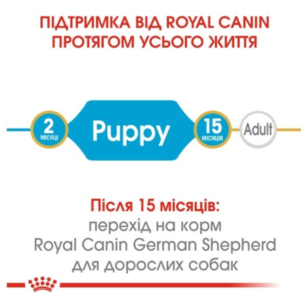 Сухий корм Royal Canin German Shepherd Puppy для цуценят породи німецька вівчарка до 15 місяців 3 (кг)