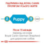 Сухий корм Royal Canin German Shepherd Puppy для цуценят породи німецька вівчарка до 15 місяців 3 (кг)