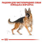 Сухой корм Royal Canin German Shepherd Adult для собак породы немецкая овчарка в возрасте от 15 месяцев, 11 кг