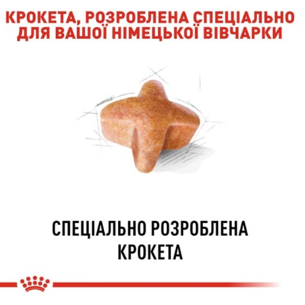 Сухий корм Royal Canin German Shepherd Adult для собак породи німецька вівчарка віком від 15 місяців, 11 кг