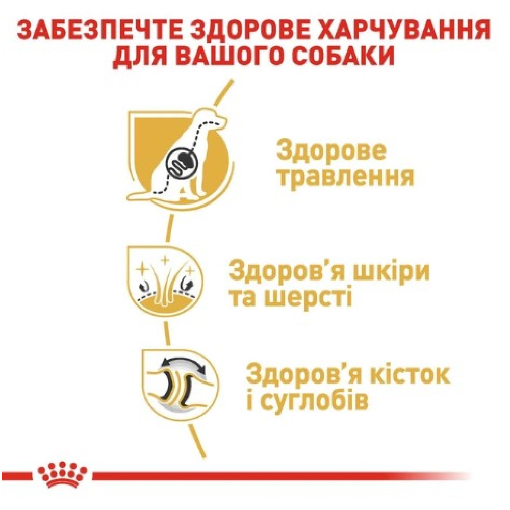 Сухий корм Royal Canin German Shepherd Adult для собак породи німецька вівчарка віком від 15 місяців, 11 кг