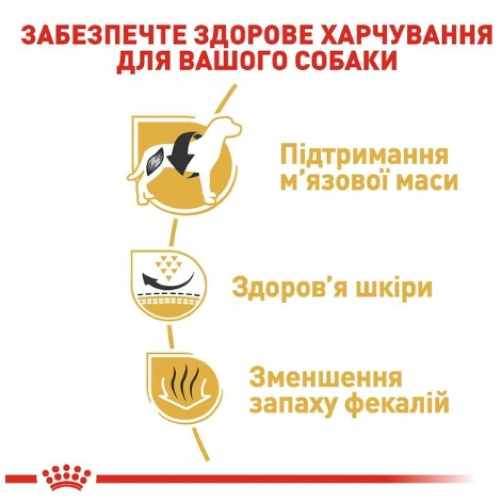 Сухий корм Royal Canin French Bulldog Adult для собак породи французький бульдог від 12 міс. 1.5 (кг)
