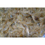 Креветка свежемороженая, морская, кормовая для кормления креветки Розенберга 100 (кг)