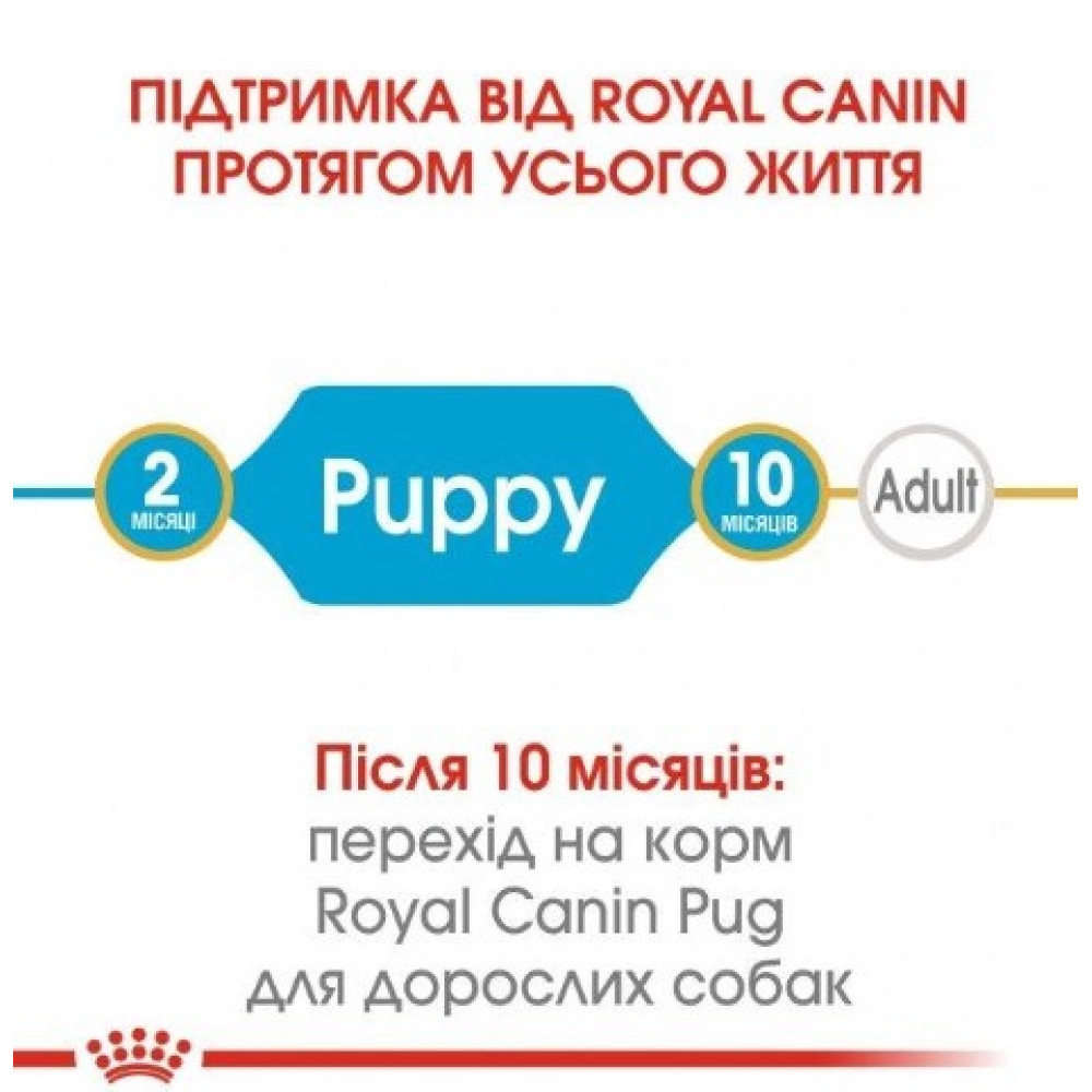 Сухой корм Royal Canin Pug Puppy  для щенков породы мопс до 10 месяцев, 1,5 кг