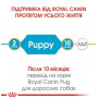 Сухой корм Royal Canin Pug Puppy  для щенков породы мопс до 10 месяцев, 1,5 кг