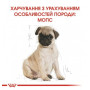 Сухий корм Royal Canin Pug Puppy для цуценят породи мопс до 10 місяців, 1,5 кг