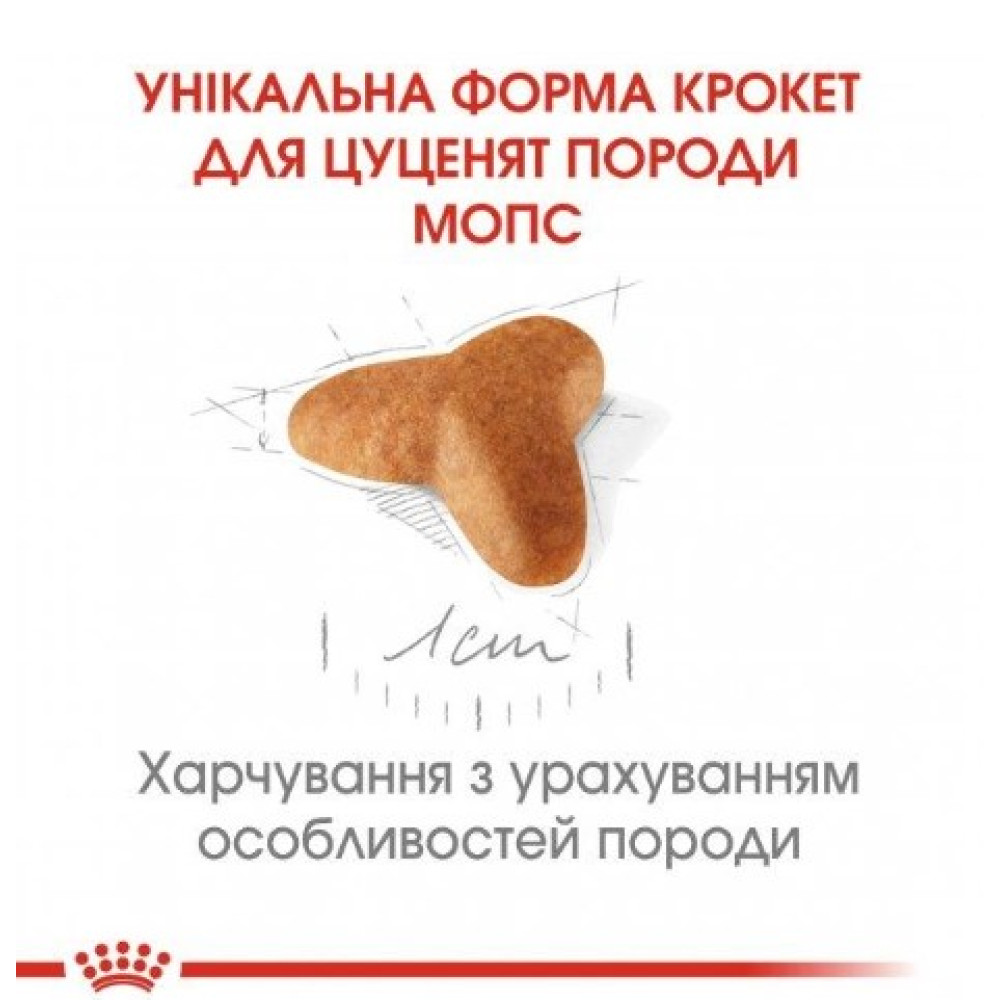 Сухой корм Royal Canin Pug Puppy  для щенков породы мопс до 10 месяцев, 1,5 кг