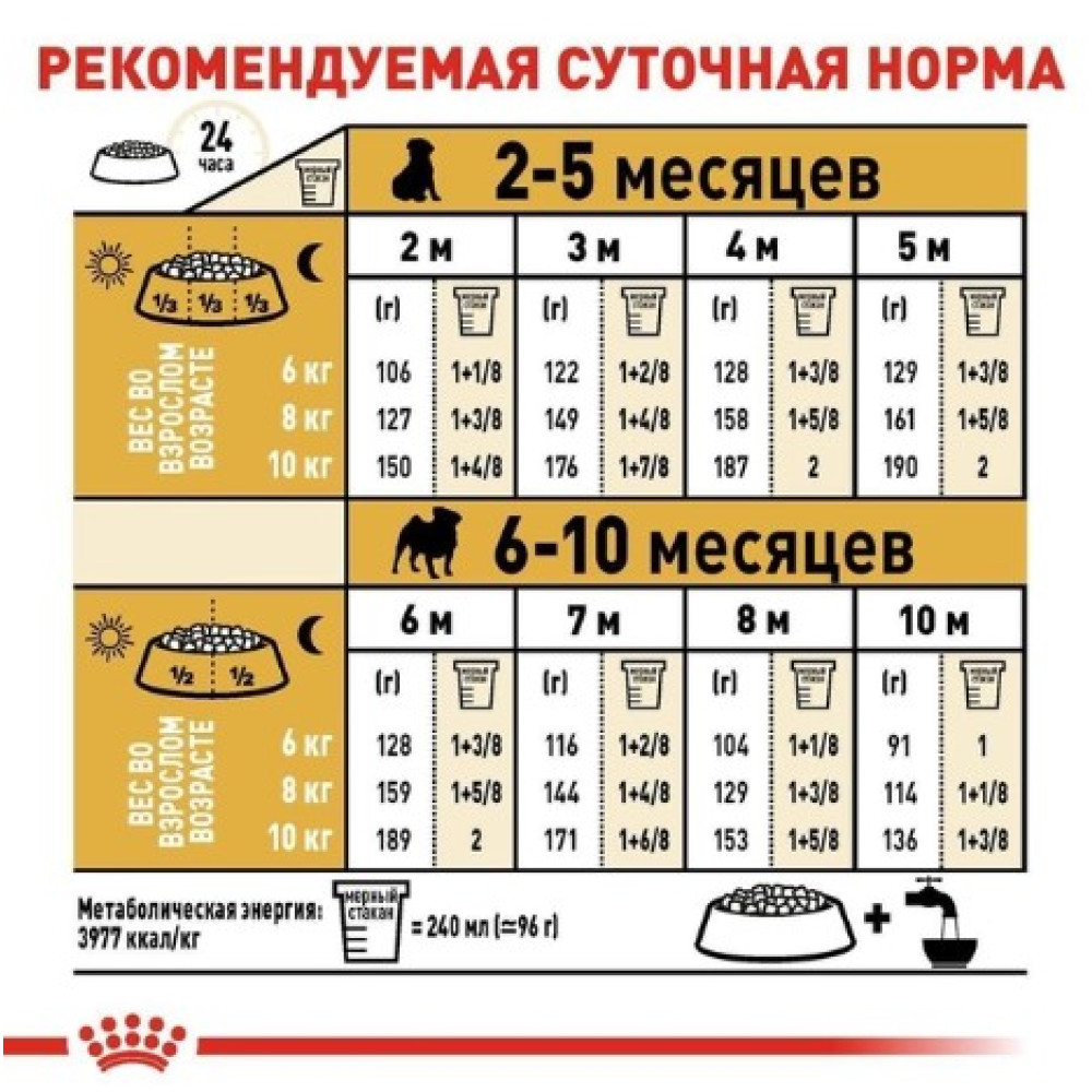 Сухой корм Royal Canin Pug Puppy  для щенков породы мопс до 10 месяцев, 1,5 кг