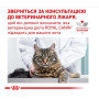 Сухий корм для кішок Royal Canin Mobility Feline при захворюваннях суглобів 2 кг