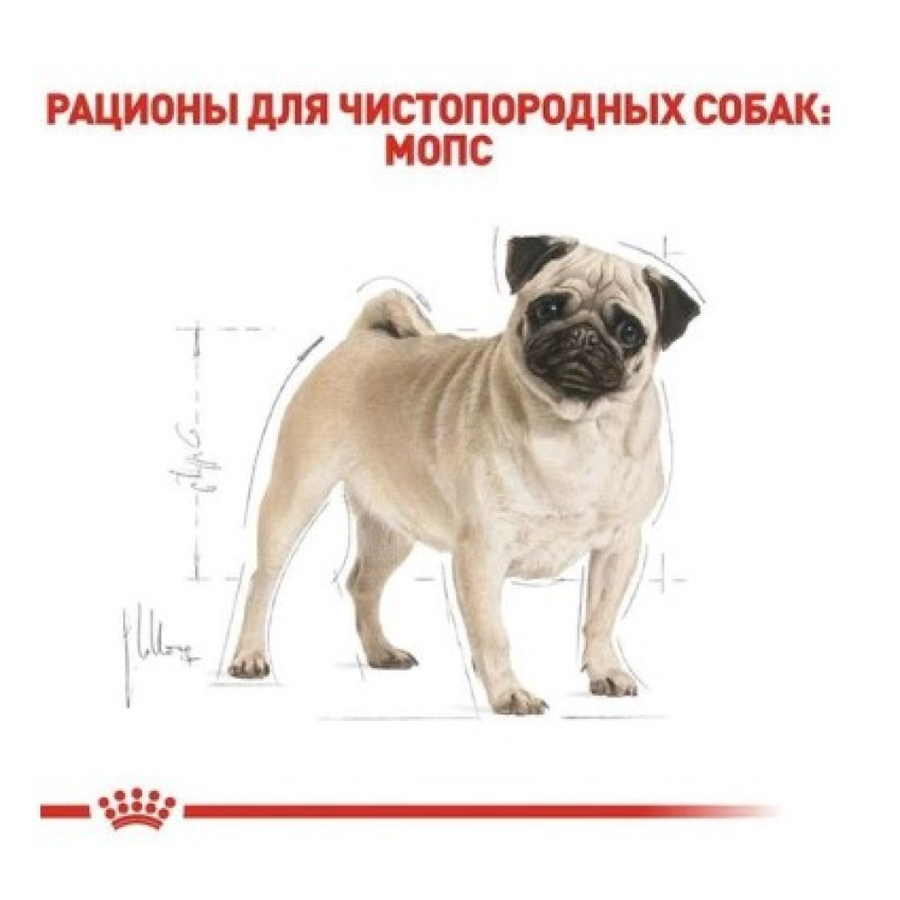Сухой корм Royal Canin Pug Adult  для взрослых собак породы мопс от 10 мес. 1.5 (кг)