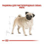 Сухой корм Royal Canin Pug Adult  для взрослых собак породы мопс от 10 мес. 1.5 (кг)